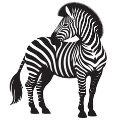  zebra Silhouette vector white back ground