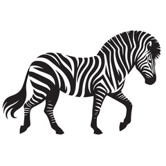  zebra Silhouette vector white back ground