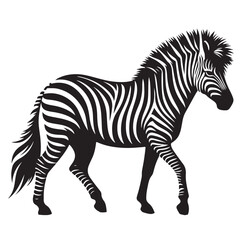  zebra Silhouette vector white back ground