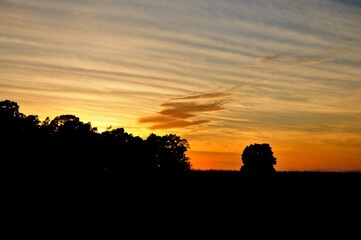 Amanecer en Colonia del Sacramento, Uruguay, justo al salir el sol, con árboles en silueta