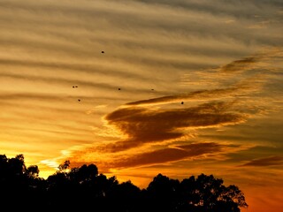 Amanecer en Colonia del Sacramento, Uruguay, justo al salir el sol, con pequeñas aves volando