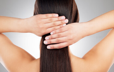 Hair care, hands and back of woman in studio for texture, growth and maintenance. Person, salon...