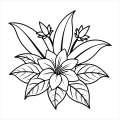 Exotic Flora Detailed illustrations of exotic flowers and plants line art vector