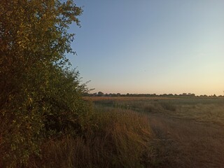 Obraz premium HD Wallpaper Background Hay Dry Grass Countryside Pictures High Resolution Quality Popular Transcarpathian Flora Nature Beautiful 