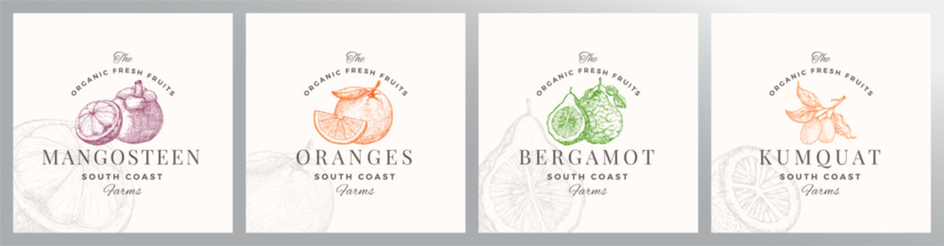 Organic Fruit Berries Logo Templates Set. Hand Drawn Mangostine, Orange, Bergamot and Kumquat Sketches with Retro Typography. Premium Plant Based Vegan Food Badge Emblems Collection Isolated