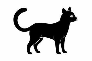 Cat black silhouette white background