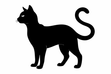 Cat black silhouette white background