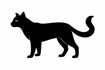 Cat black silhouette white background