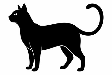 Cat black silhouette white background