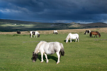 Dramatic sky hovering over Dartmoor