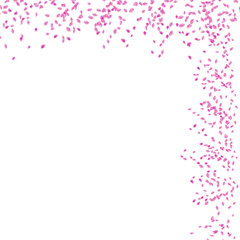 Pink rose petals decoration border background 