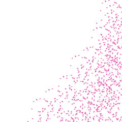 Pink rose petals decoration isolated on white background 