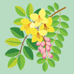Cassia Fistula Flower Vector Art