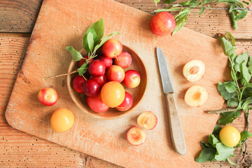 Wildpflaumen Mirabellen Wildobst Wildfrüchte Wild Früchte Obst Kirschpflaumen 