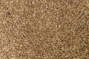 Background of coffee beans. Natural pattern
