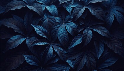 Fototapeta premium Dark leaves with a deep blue hue, highlighting the intricate patterns and textures of the foliage.