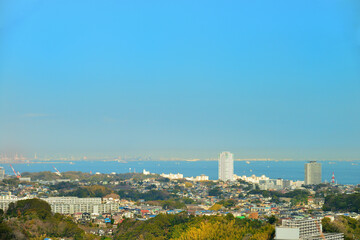 衣笠山公園の風景
