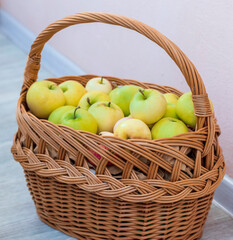 Shot of the freshly picked apples in the basket. Food