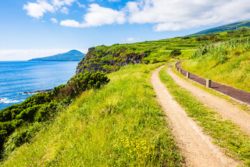 Rural road at Ponta do Morro Castelo Branco on coast of Faial island, Azores, Portugal