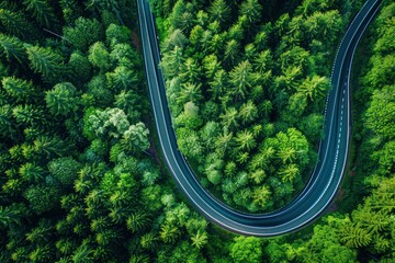 Winding road through a green forest, aerial view, sustainability journey, high resolution and detailed