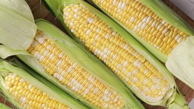 corn in husks top view food cooking maize