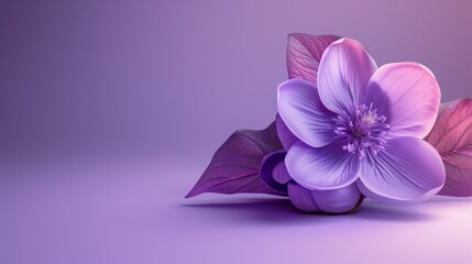 A beautiful purple gradient flower with a leaf overtop of it.