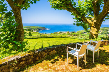Chairs in tree shade on tea plantation terrace with ocean view, Sao Miguel island, Azores, Portugal