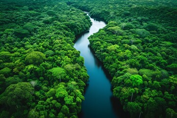 Fototapeta premium A river winds its way through a dense forest, surrounded by vibrant green foliage and towering trees, River traversing through a thick, verdant rainforest, AI Generated