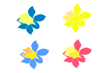 Flowers daffodils 4 pieces of different colors on a transparent background