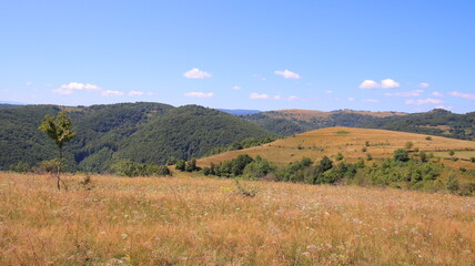 Obraz premium autumn in the mountains