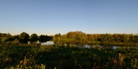 A summer walk through the forest, a beautiful panorama.