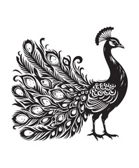 peafowl bird vector art,graphics peafowl birds icons set,vintage illustration peafowl bird clipart,vector peafowl birds flat style artwork design