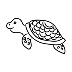 turtle line vector illustration,isolated on white background,top view