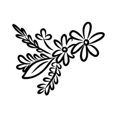 illustration of a flower sketch on white background