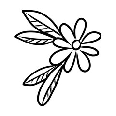 illustration of a flower sketch on white background
