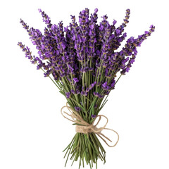 Naklejka premium Beautiful Lavender Bouquet Wrapped with Twine for Home Decoration or Gift