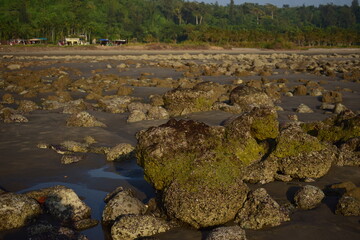 Rock in Beach