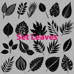 set of vector leaves for graphic use. 21 variants of different leaves.