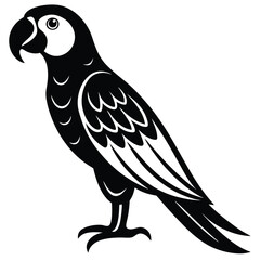 Macaw Vector Illustration