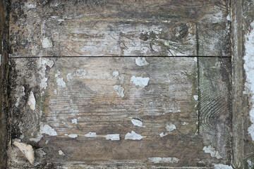 texture of an old gray wall from a wooden board with white shabby paint