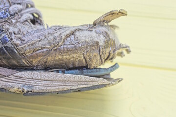 part of an old gray torn sneaker made of fabric and leather on a yellow table