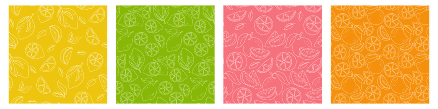 Lime, lemon, orange, grapefruit outline seamless Pattern collection. Doodle Sketch Citrus fruits Background. Cute colorful illustration set for package, cover, label, textile design
