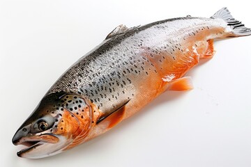Obraz premium Fresh Whole Salmon Prepared for Cooking on White Background - High-Quality Seafood Concept