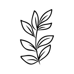 Shrub of various shapes, bush of grass With illustration style doodle and line art