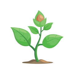 Vector Illustration of a Young Plant with Leaves and Bud
