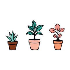 Colorful Potted Plants Illustration