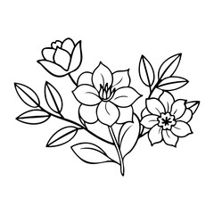 Black and White Floral Illustration