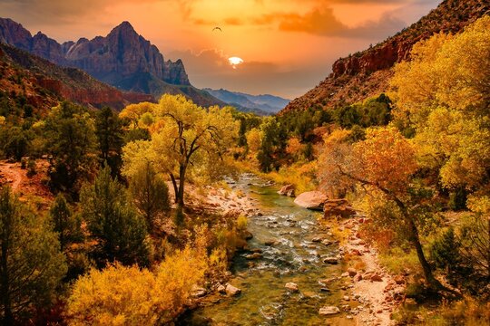 The Virgin River in Zion National Park during the fal season.  Trees showing fall colors line the river.