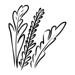 Shrub of various shapes, bush of grass With illustration style doodle and line art © Elala 9161