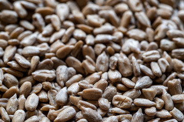 close-up of many sunflower seeds in a pile